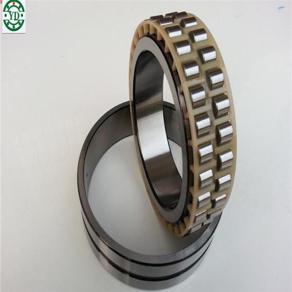 NSK Brass Cage Nn Nu Nnu Cylindrical Roller Bearing Nn3006kw33/P5 Nu1005