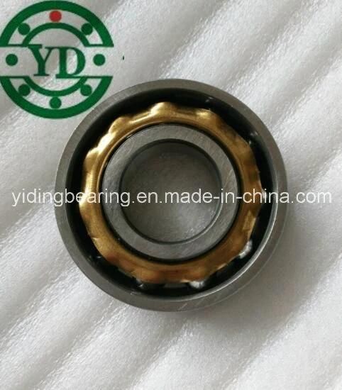 Bearing En15 E15 Bo15 En14 En16 Magneto Bearing for Electric Bikes