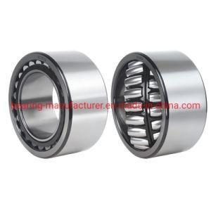 BS2-2224-2RS5/Vt143 Sealed Spherical Roller Bearing for Conveyors Equipment