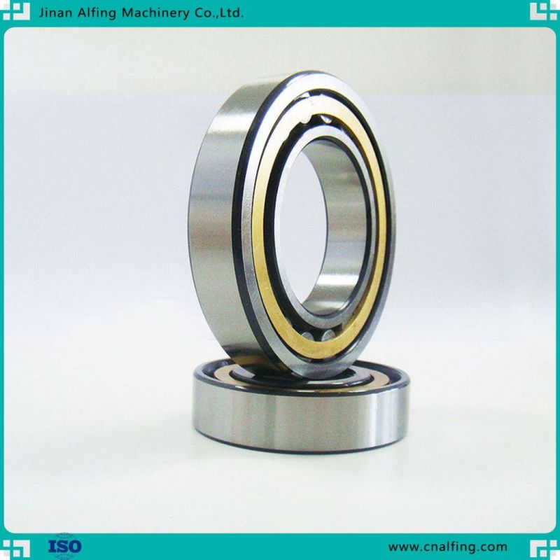 Large and Medium-Sized Electric Motors, Rolling Stock Cylindrical Roller Bearing