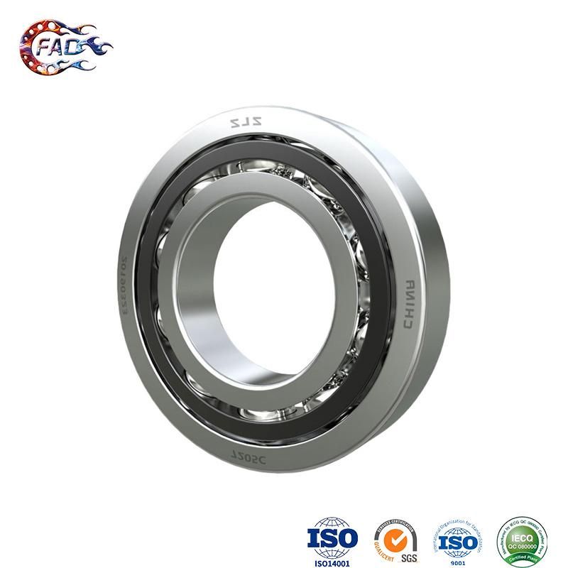 Xinhuo Bearing China Pivot Bearing Own Brand Car Parts Rear Wheel Hub Bearing 4245012051 7407ACP6