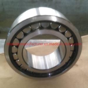 Carb/Torb Toroidal Roller Bearing, Self-Aligning Cylindrical Roller Bearing C3224K