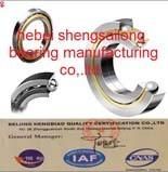 Single Row Angular Contact Ball Bearing