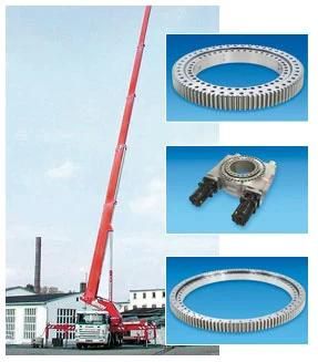 Slewing Ring Bearing 5397/3016 for Port Crane Swing Bearing Port Machinery Cranes Turntable Bering