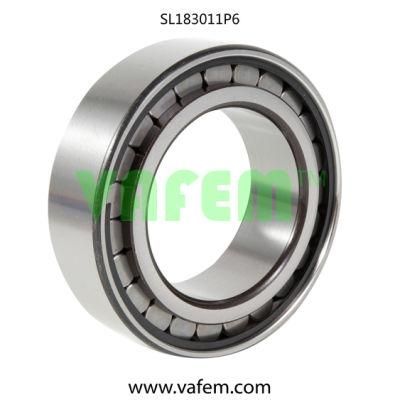 Cylindrical Roller Bearing N204e/Roller Bearing/Auto Parts/Quality Certified