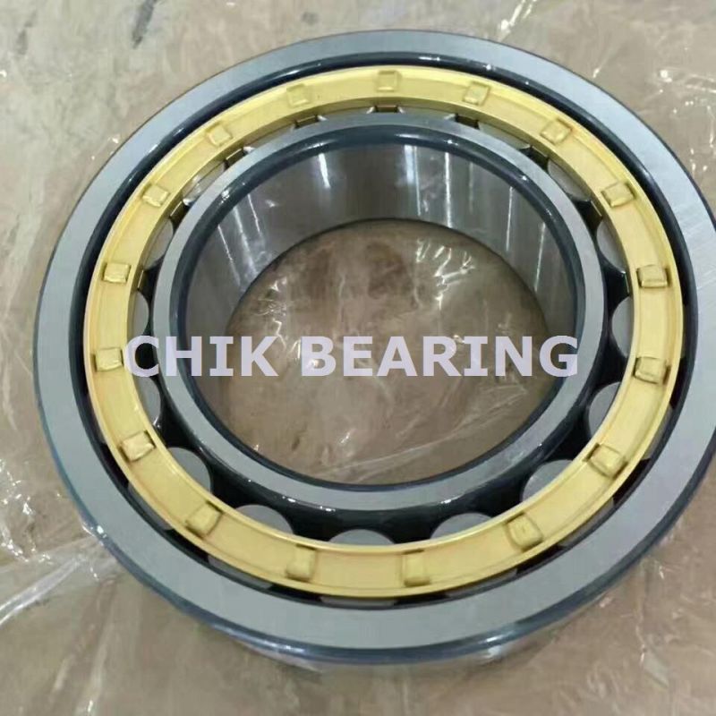 Single Row Cylnidrical Roller Bearings (NU 1956 E BEARING)