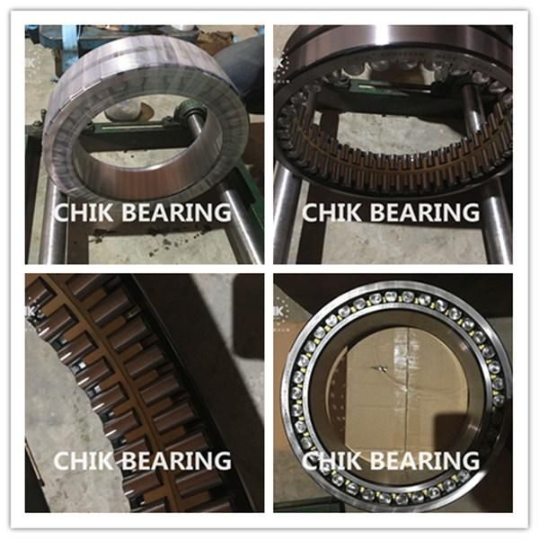 Double Row SL06 016 E Full Complement Spherical Cylindrical Roller Bearing