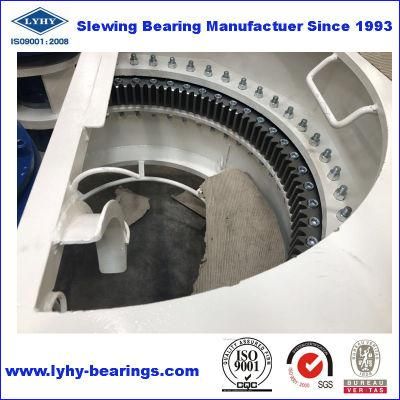 Slewing Ring Bearings Ring Bearing Slewing Bearings Turntable Bearings 9I-1b45-1864-0859