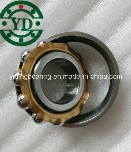 Electric Motor Motorcycle Magneto Bearing En17 L17 Bo17 Bearing