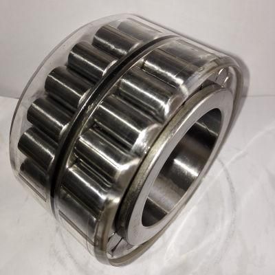 Cylindrical Roller Bearing Double Row Planetary Bearing Rnn55X88.85X52V for Brevini