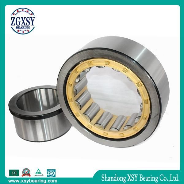 Cylindrical Roller Bearing Single Row 300*460*74mm Nu1060