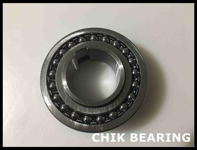 Chrome Steel Self-Aligning Ball Bearing for Printing Machinery (1511K)