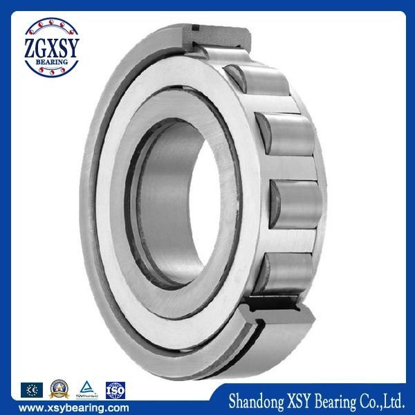 Nj311r C3fy Cylindrical Roller Bearing (C3 Clearance)