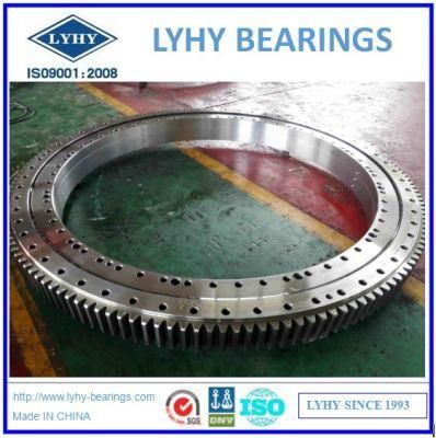 Double Row Ball Slewing Berings Sleiwng Ring Bearings with External Teeth 011.25.1461.001.21.1503