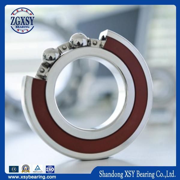 China Supplier Deep Groove Ball Bearing (6300)