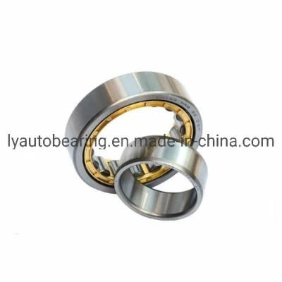 Auto Parts Cylindrical Roller Bearing (52192/NU1092+HJ1092) Roller Bearing