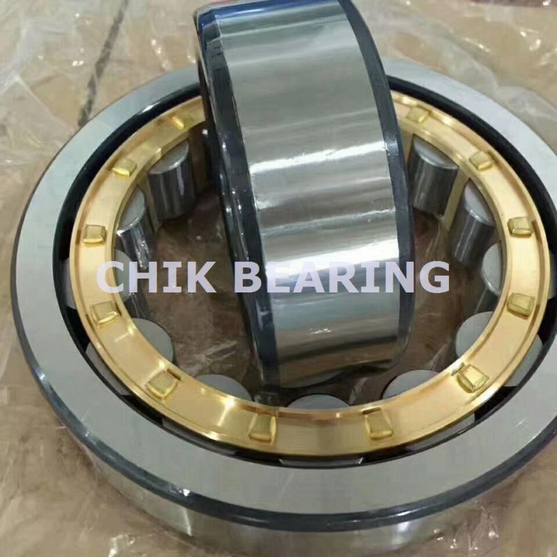 Single Row Cylnidrical Roller Bearings (NU 1956 E BEARING)