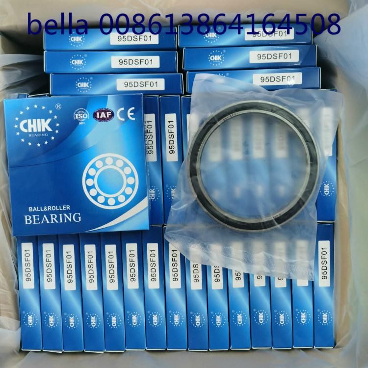 Chik Brand 95dsf01 Dducm 95dsf01 2RS Deep Groove Ball Bearing Gcr10 Bearing Steel P6 Grade 95*120*17mm