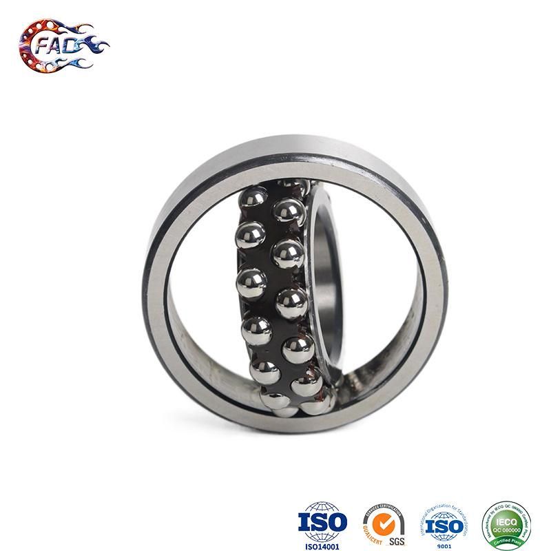 Xinhuo Bearing China Self Aligning Ball Bearing OEM 6004RS1209 Double Row Selfaligning Ball Bearing