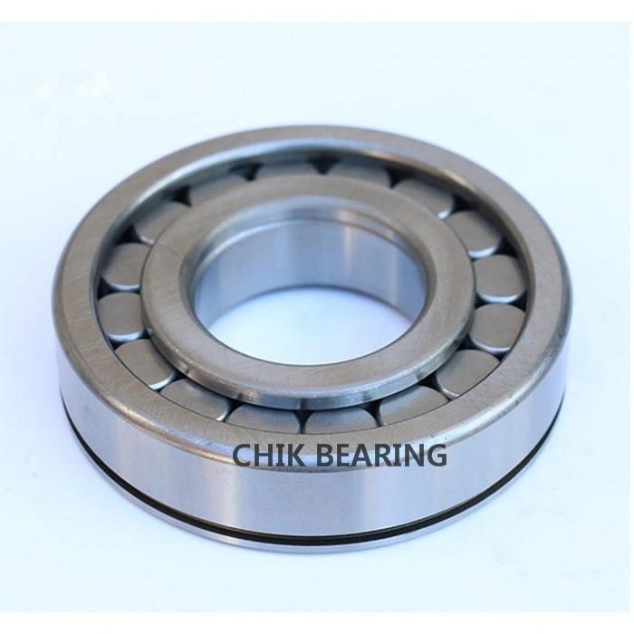 NSK Koyo NACHI Japan Bearing Cylindrical Roller Bearing for Constructive Machinery SL04 5012-N