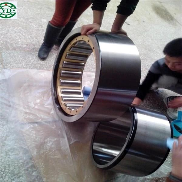 Nn Nj Nu Nup Cylindrical Roller Bearing NSK Nup304em