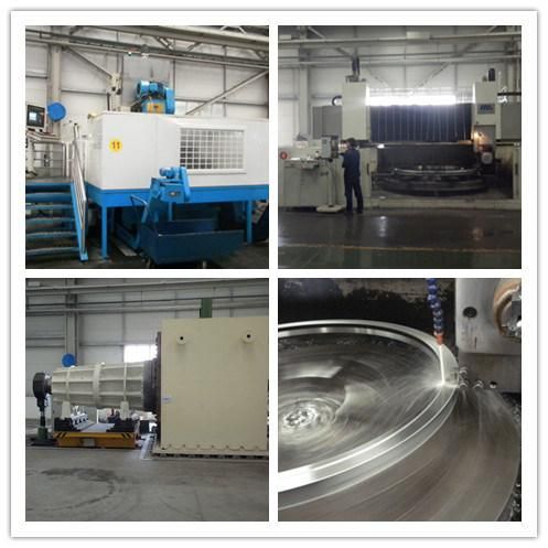 Zys Rotary Machine Spare Parts Rotary Table Bearing Yrt Series Yrt1030