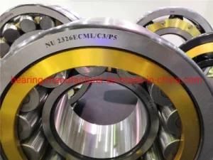 High Performance Nu1040 Ecml Bearing for Vibrating Screen
