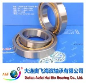 A&F Bearing/ Cylindrical Roller Bearing NJ216M