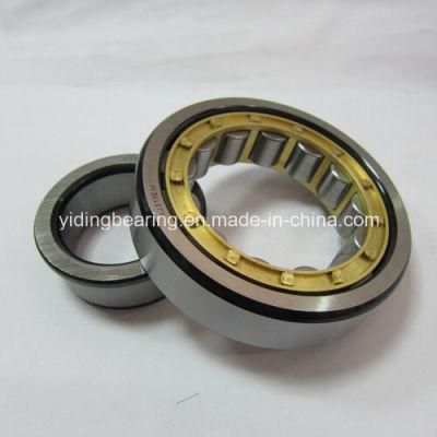 China High Quality Cylindrical Roller Bearing N1030k Nn3030k