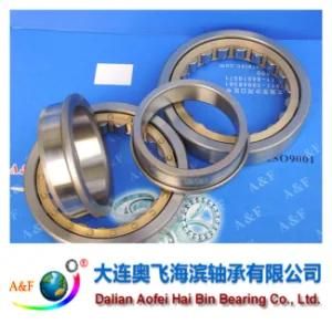 A&F Bearing/ Cylindrical Roller Bearing NJ213M