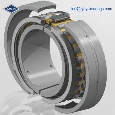 Split Spherical Roller Bearing with Large Diameter (230S. 1400/230S. 1500)