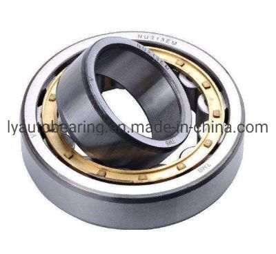 Auto Parts Cylindrical Roller Bearing (42180/NJ1080) Roller Bearing