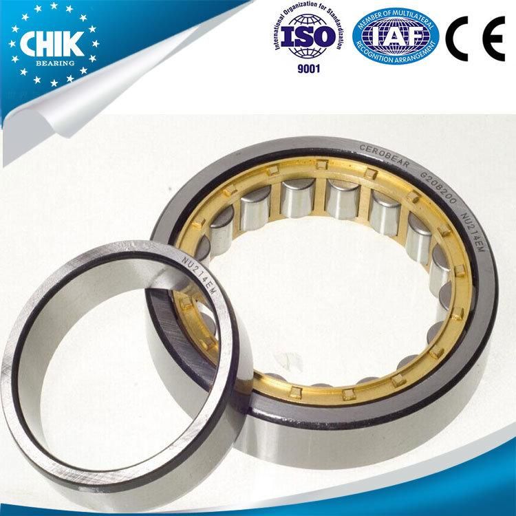 Locomotive and Rolling Stock Bearing Nu1005 Bearing Cylindrical Roller Bearing Nu1005