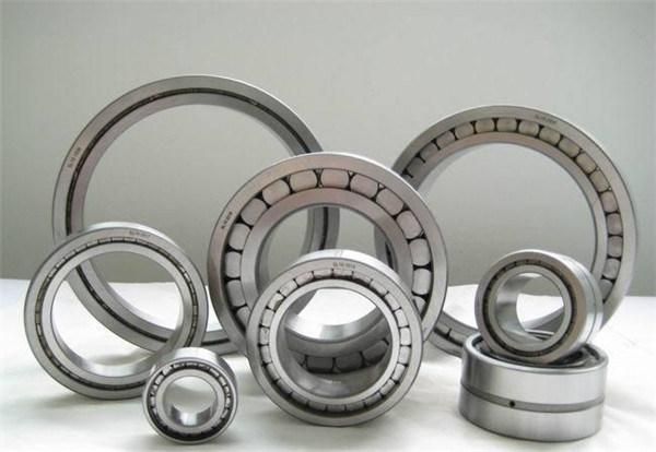 Cylindrical Roller Bearing Double Row Full Complement Bearings SL045008PP