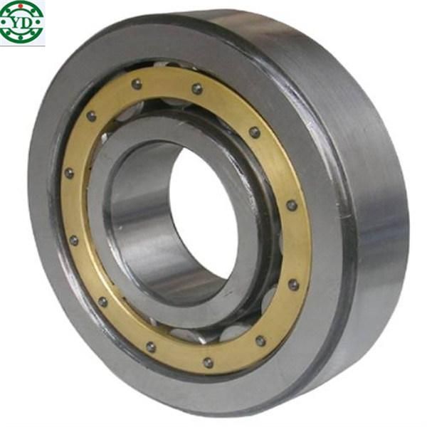 Nu2215m Bearing Cylindrical Roller Bearing 75*130*31mm China Factory Hot Sale