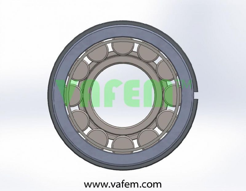 Cylindrical Roller Bearing Dg75AA/Roller Bearing/Full Complement Roller Bearing/China Factory