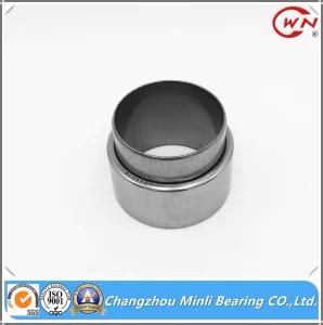 Non-Standard Needle Roller Bearing with Good Quality dB69518