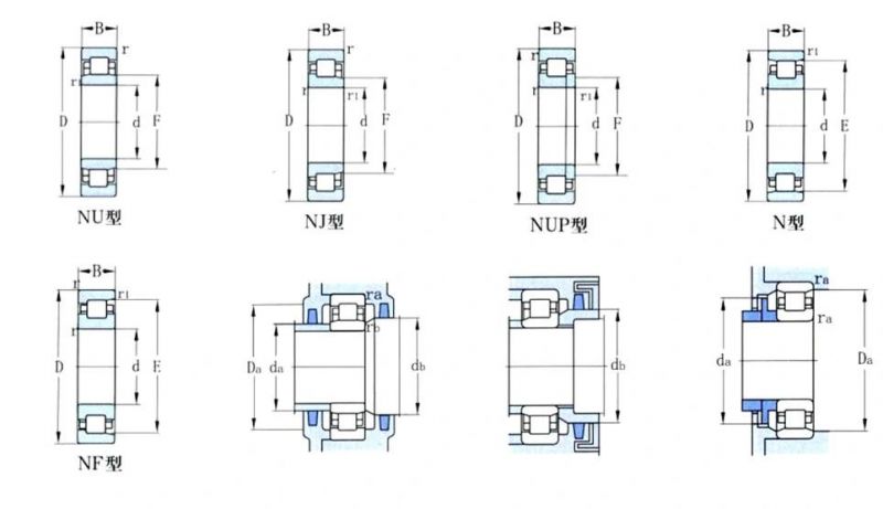 High Quality Cylindrical Roller Bearings with Commercial Price