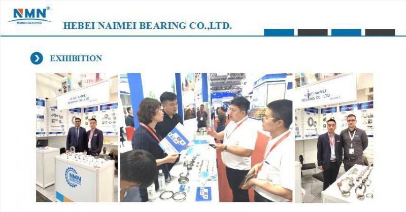 Cixi Bearing Electric Machine Bearing Agriculture Equipment Bearing Pillow Block Housing Bearing Chrome Steel Bearing UC6300 Bearing