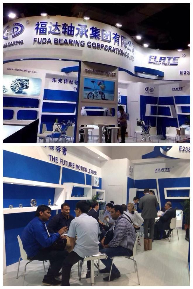 Hot sell warehouse products 6310 f&d bearing