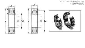 Cylindrical Roller Bearings (NU 1060)