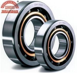 High Precision Angular Contact Ball Bearing (7316C-7324C)