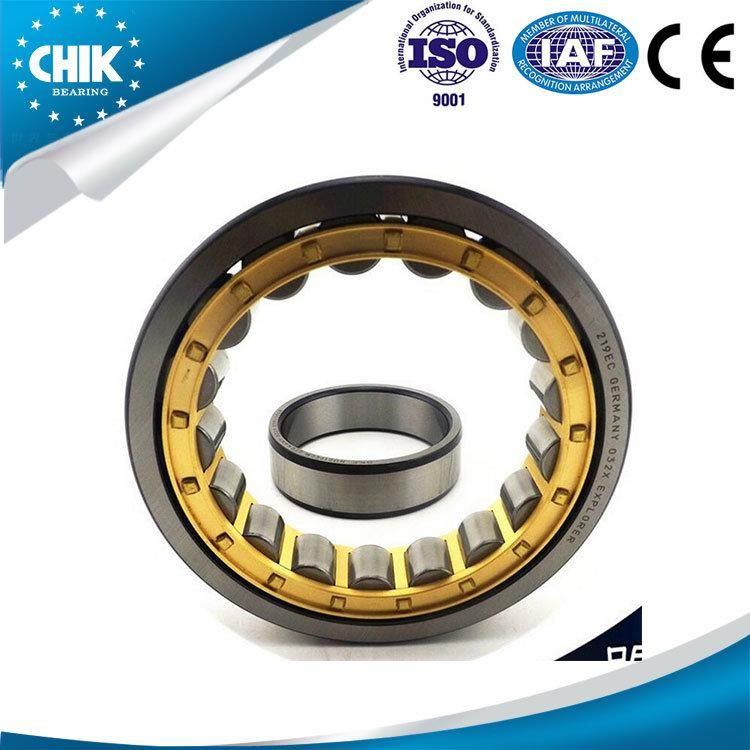 Chik/NSK/SKF/NTN/Koyo/Timken Brand Nu202~Nu244 Model Cylindrical Roller Bearing