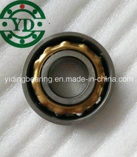 Electric Motor Motorcycle Magneto Bearing En17 L17 Bo17 Bearing