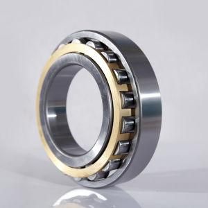 Cylindrical Roller Bearing (N219EM), Adjustable Bearing, Rolling Bearing