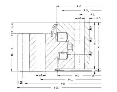 External Gear Triple Row Roller Slewing Bearing