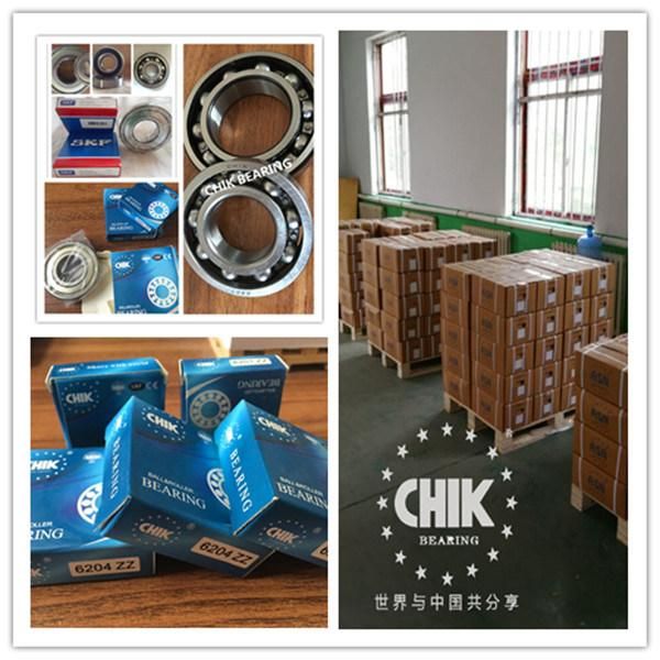 Hot Sale SKF Bearings Deep Groove Ball Bearings for All Sizes Auto Parts