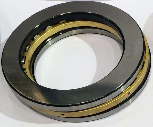 81152m China Cylindrical Thrust Roller Bearings with High Precision