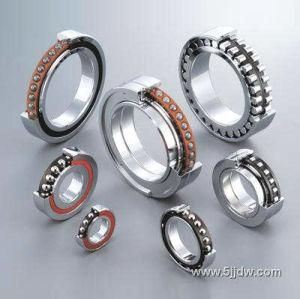 Single Row Angular Contact Ball Bearing (700, 7000, 7200, 7300)