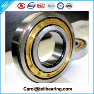 Cylidrical Roller Bearing, Roller Bearing with Manufacture